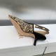 Dior J'Adior Slingback Pumps 65mm In Beige Toile de Jouy Voyage Motif