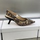 Dior J'Adior Slingback Pumps 65mm In Beige Toile de Jouy Voyage Motif