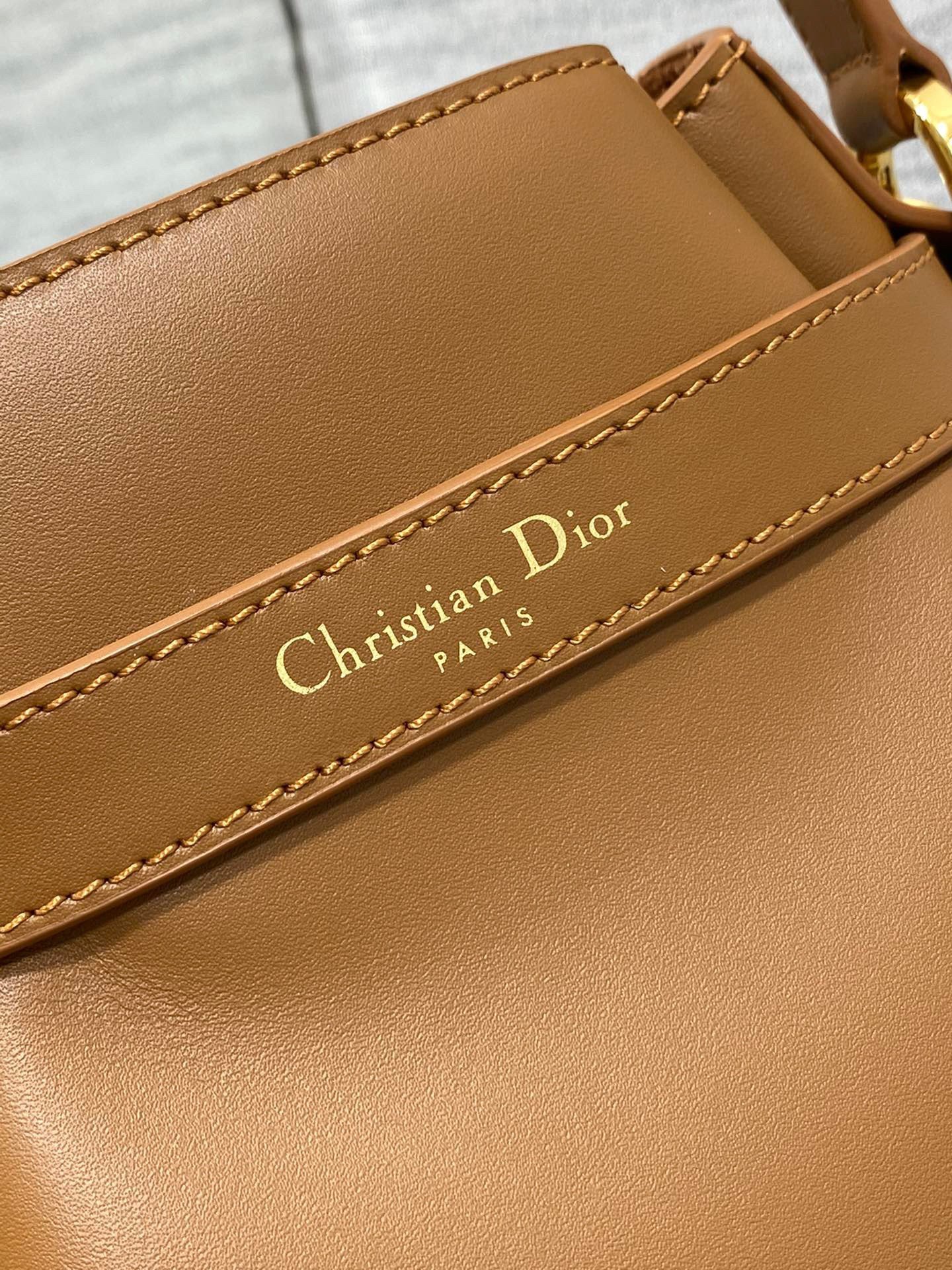 Dior C'est Medium Bag in Brown Saddle Calfskin