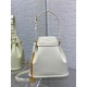 Dior C'est Medium Bag in White Saddle Calfskin