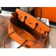 Hermes Birkin 30 Bag in Orange Clemence Leather with GHW