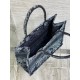 Dior Medium Book Tote Bag In Denim Blue Toile de Jouy Embroidery