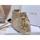 Dior Ammi Medium Bag in Sand Pink Macrocannage Lambskin