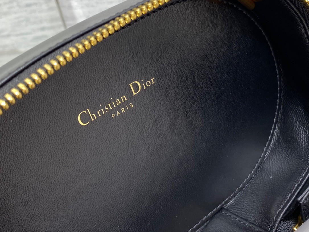 Dior CD Signature Oval Camera Bag in Black Calfskin