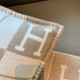 Hermes Beige Small Avalon III Pillow Cover