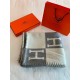 Hermes Avalon Throw Blanket in Grey Wool and Cashmere