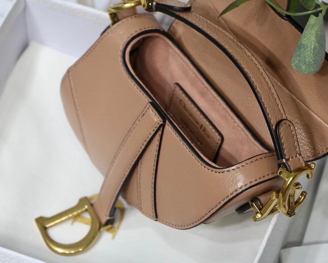 Dior Saddle Micro Bag In Powder Goatskin