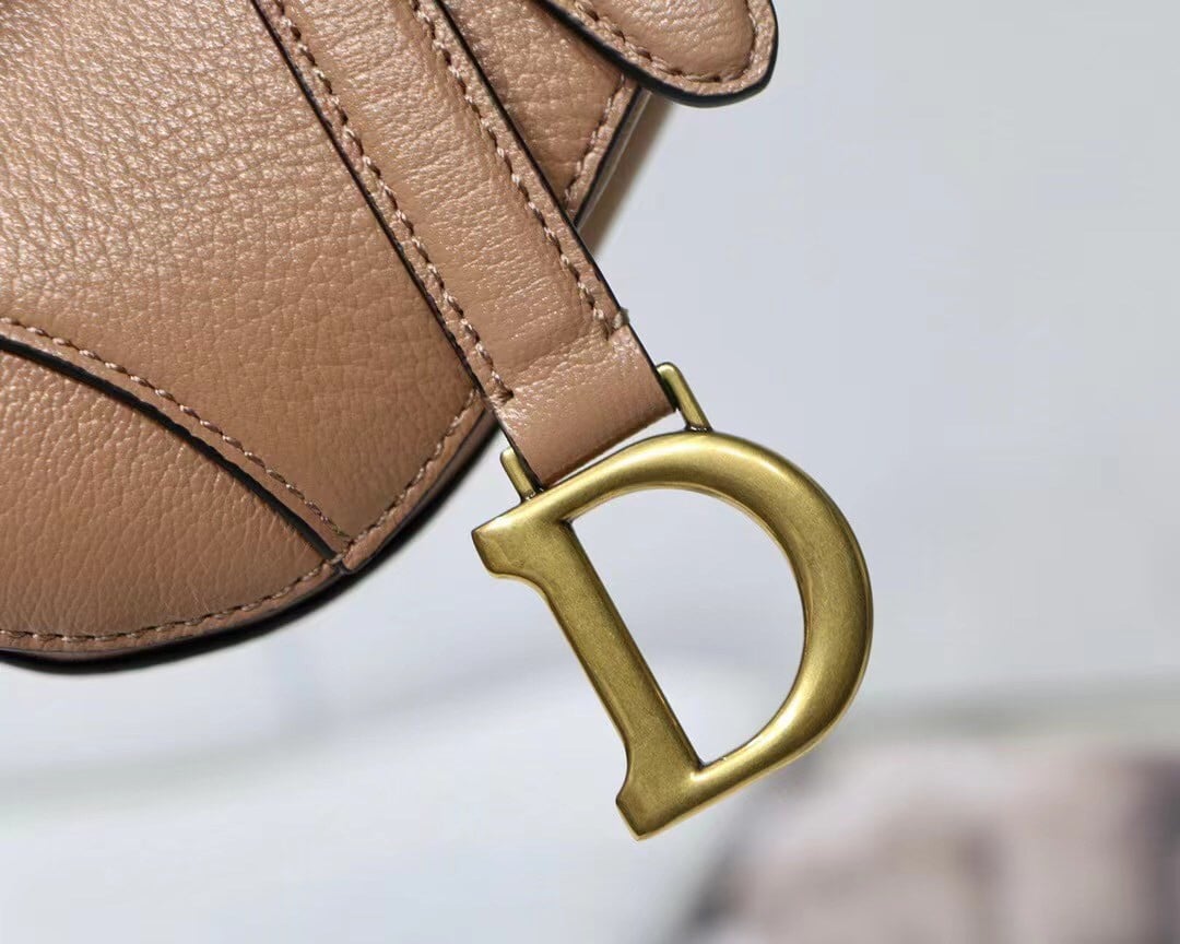 Dior Saddle Micro Bag In Powder Goatskin