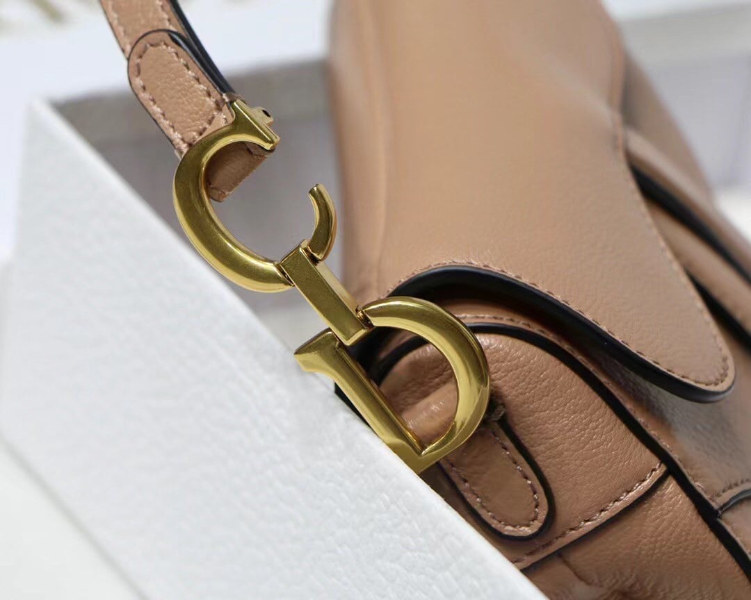 Dior Saddle Micro Bag In Powder Goatskin