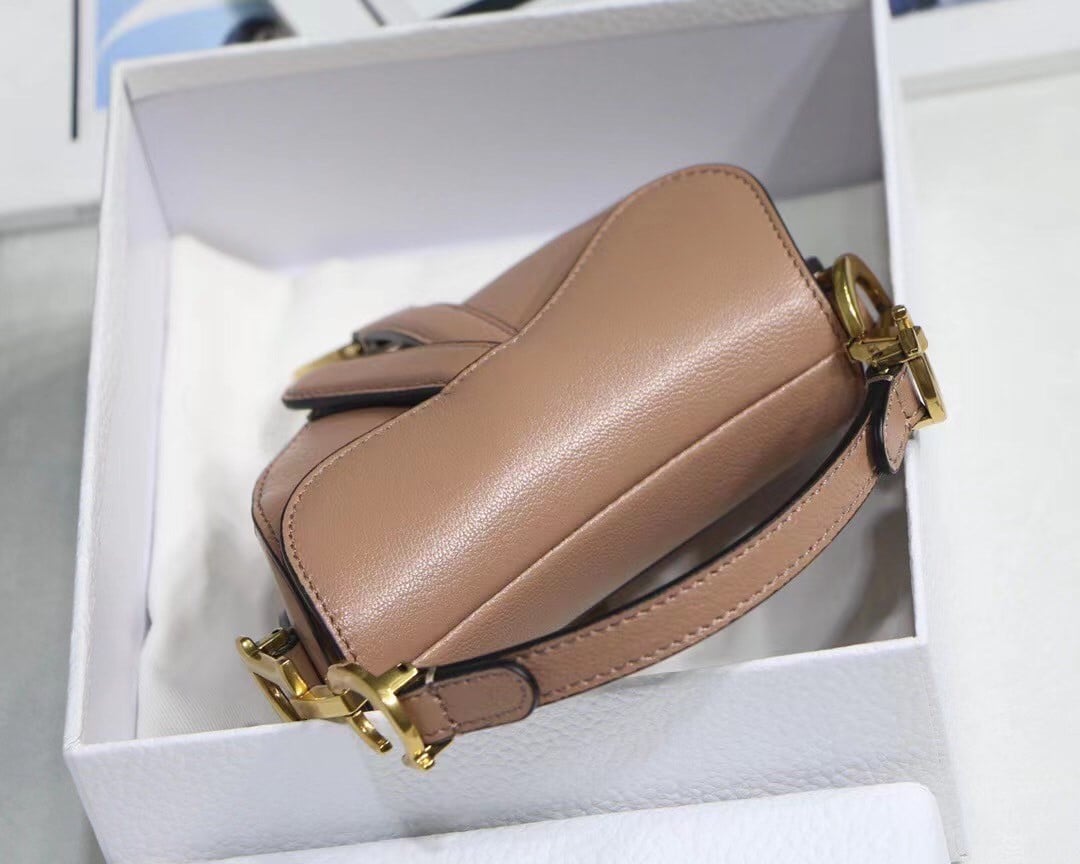 Dior Saddle Micro Bag In Powder Goatskin