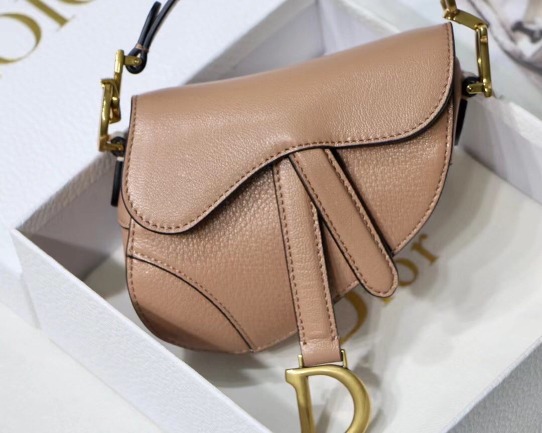 Dior Saddle Micro Bag In Powder Goatskin