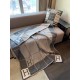 Hermes Avalon III Throw Blanket in Grey Wool and Cashmere