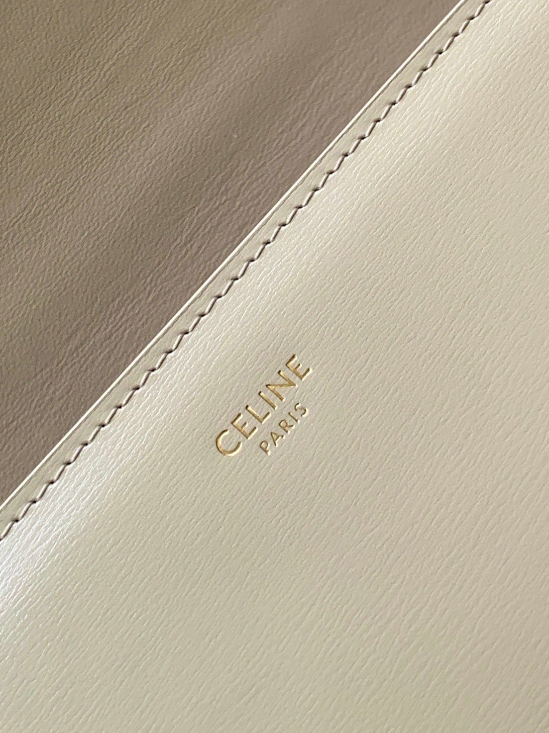 Celine College Triomphe Chain Bag in Pampa Leather