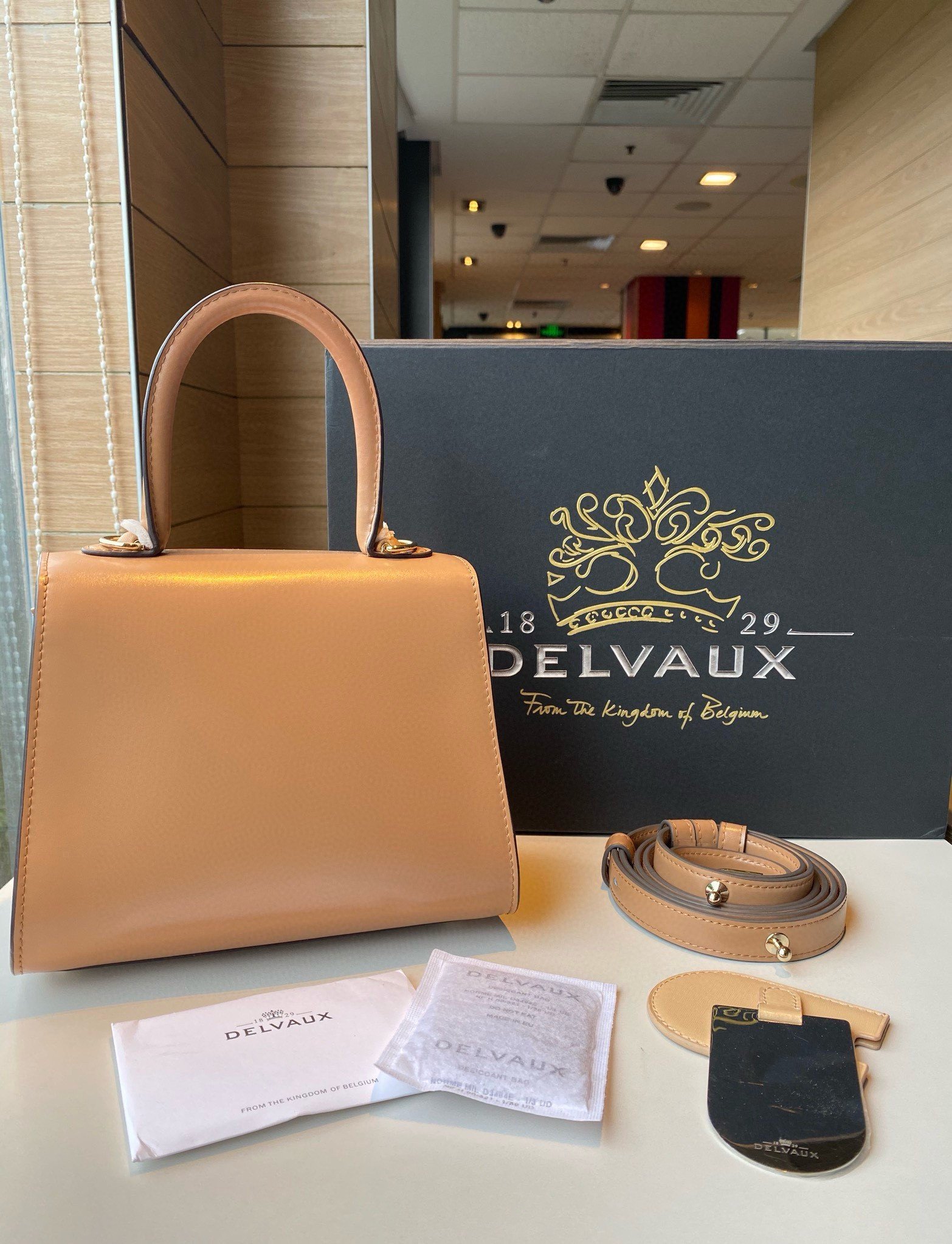 Delvaux Brillant Mini Bag in Tender Beige Box Calf Leather