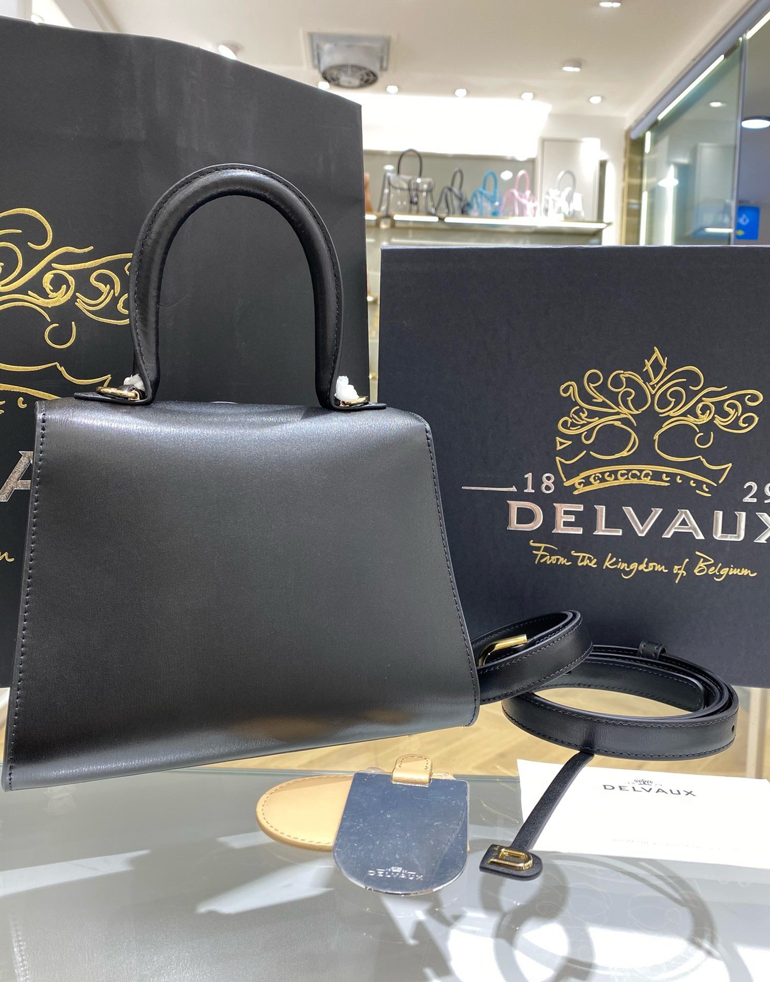 Delvaux Brillant Mini Bag in Black Box Calf Leather