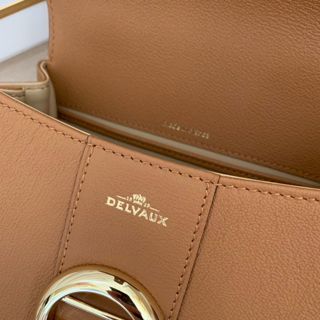 Delvaux Brillant Mini Bag in Brown Rodeo Calf Leather