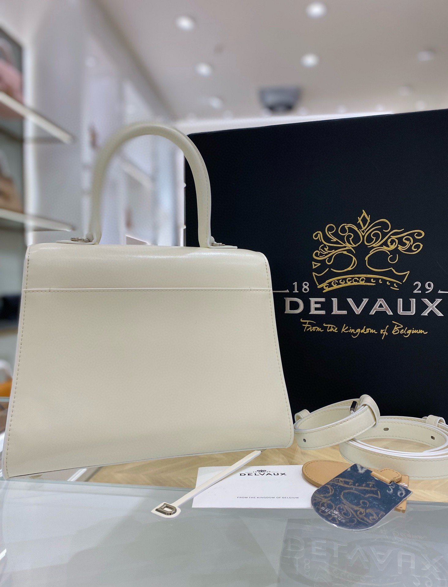 Delvaux Brillant PM Bag in Ivory Box Calf Leather