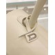 Delvaux Brillant PM Bag in Ivory Box Calf Leather