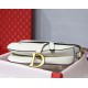 Dior Saddle Bag In White Grained Calfskin