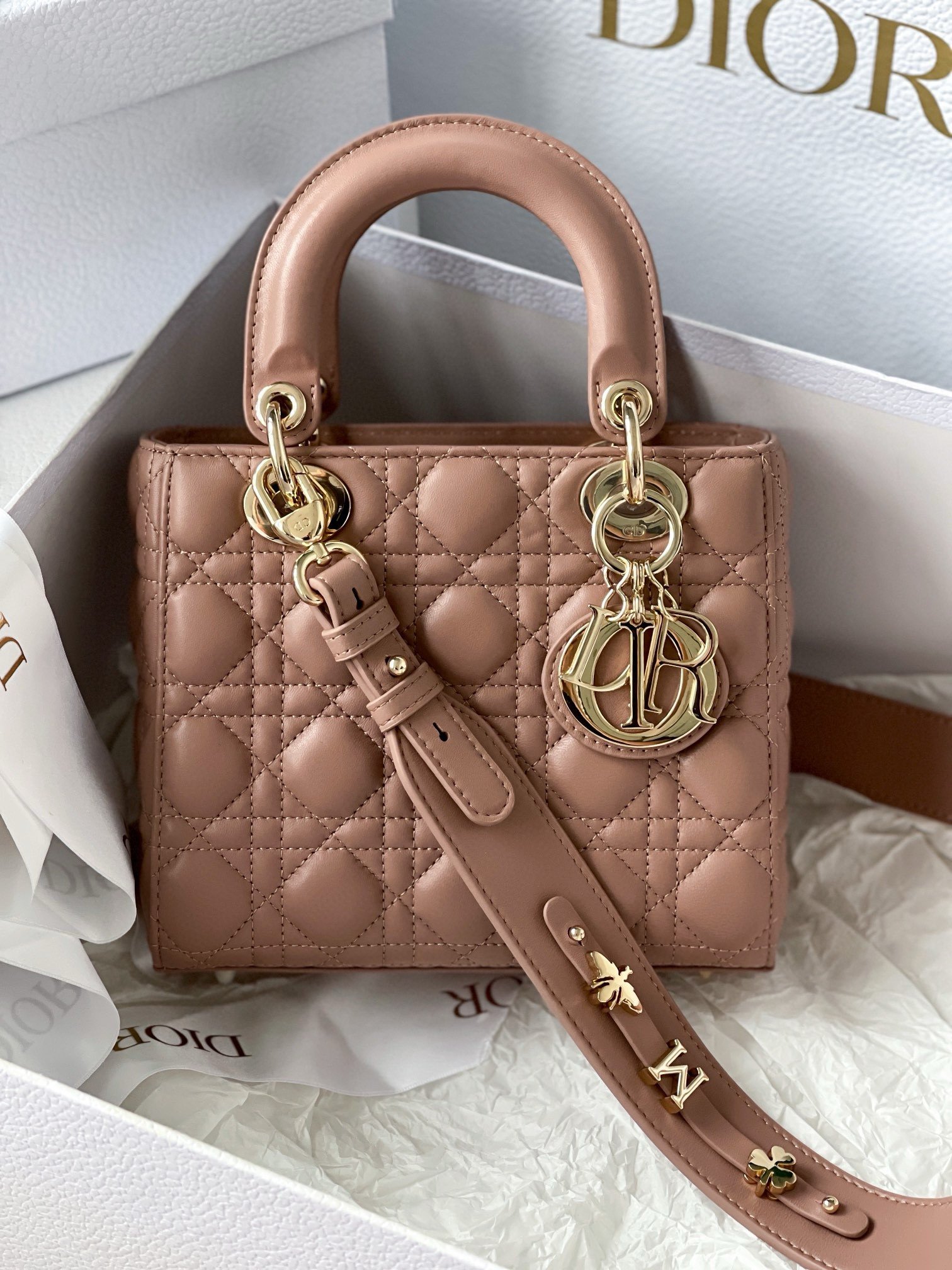 Dior Small Lady Dior My ABCDior Bag in Blush Lambskin