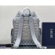 Dior Hit the Road Backpack In Gray CD Diamond Canvas