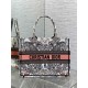 Dior Medium Book Tote Bag in Butterfly Around The World Embroidery