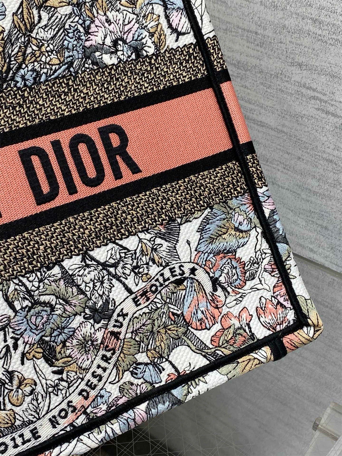 Dior Medium Book Tote Bag in Butterfly Around The World Embroidery