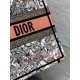 Dior Medium Book Tote Bag in Butterfly Around The World Embroidery