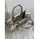 Dior Medium Book Tote Bag in Beige Butterfly Bandana Embroidery