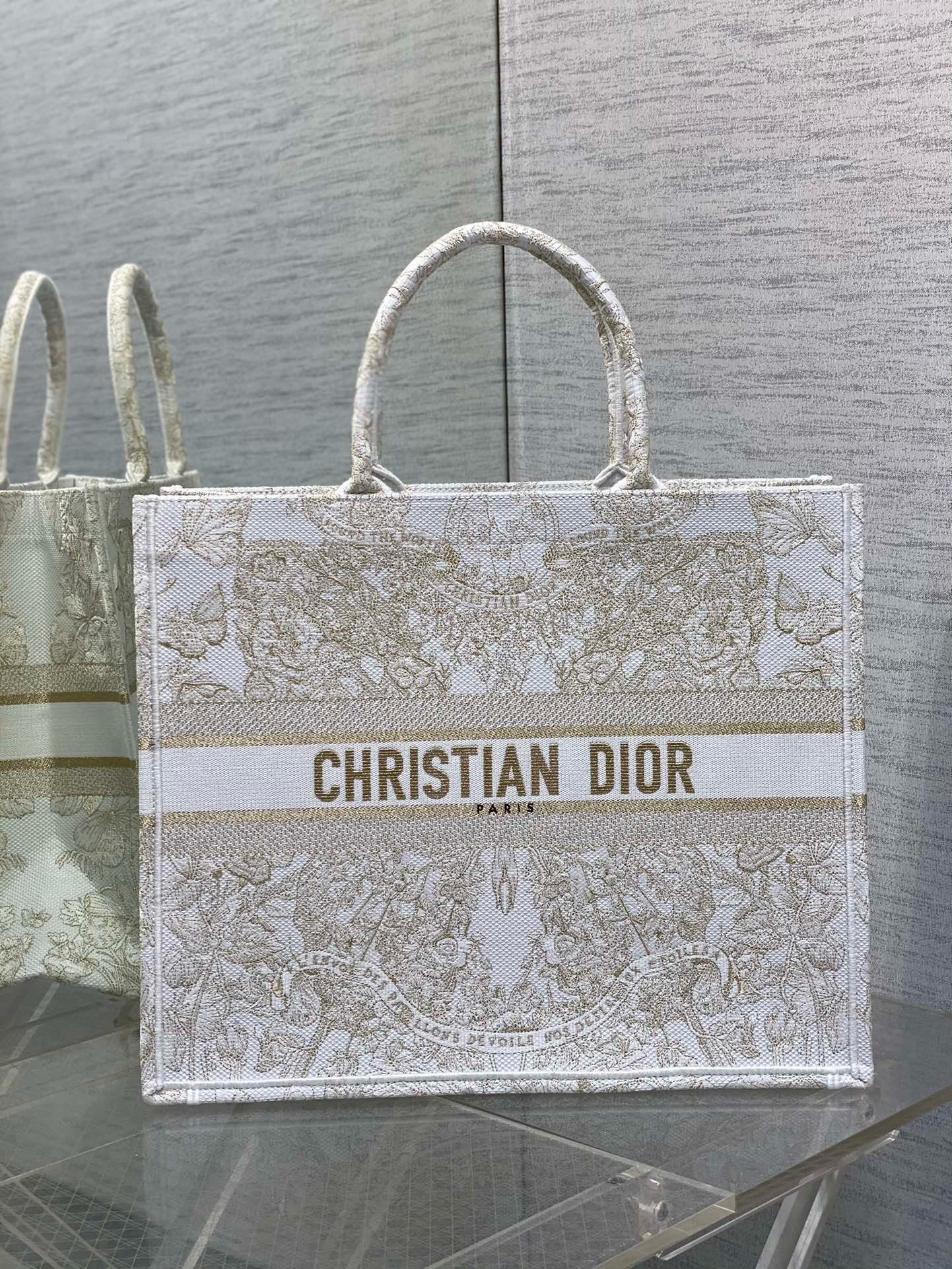 Dior Large Book Tote Bag in Butterfly Around The World Embroidery