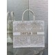 Dior Large Book Tote Bag in Butterfly Around The World Embroidery