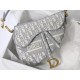 Dior Saddle Bag In Grey Dior Oblique Embroidery