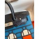 Hermes Night Sac Faubourg Birkin 20 Sellier Limited Edition Bag