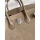 Hermes Birkin 25 Grizzly Bag in Taupe Veau Doblis and Swift Leather