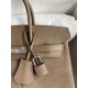 Hermes Birkin 25 Grizzly Bag in Taupe Veau Doblis and Swift Leather