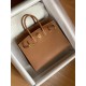 Hermes Birkin 25 Sellier Handmade Bag In Gold Epsom Calfskin