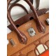 Hermes Day Sac Faubourg Birkin 20 Sellier Limited Edition Bag