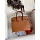 Hermes Day Sac Faubourg Birkin 20 Sellier Limited Edition Bag