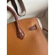 Hermes Day Sac Faubourg Birkin 20 Sellier Limited Edition Bag