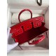 Hermes Birkin 25 Handmade Bag In Red Crocodile Porosus Shiny Skin