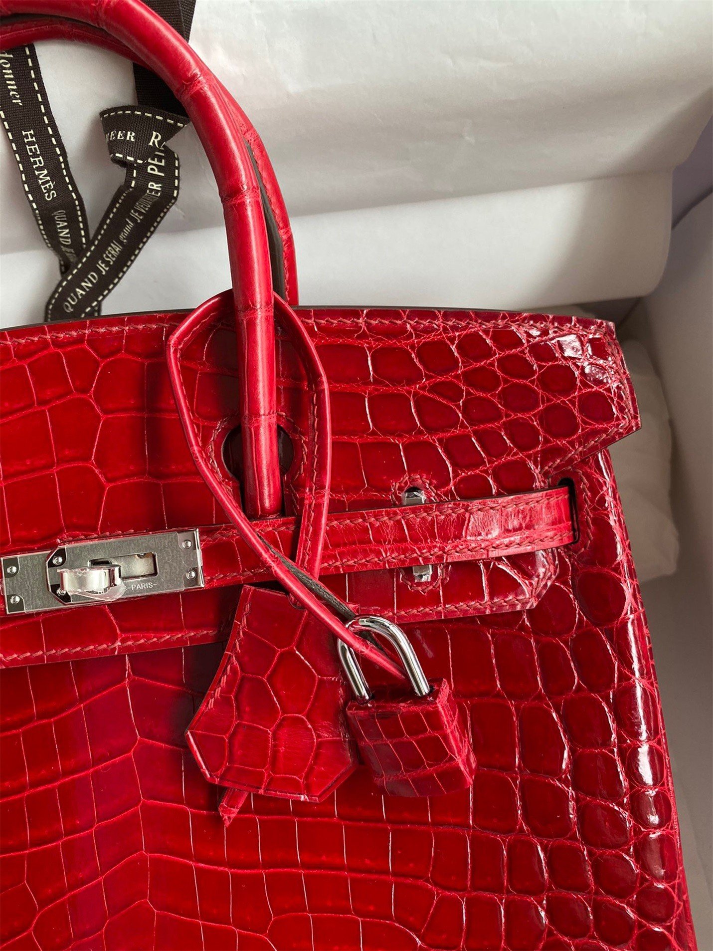 Hermes Birkin 25 Handmade Bag In Red Crocodile Porosus Shiny Skin