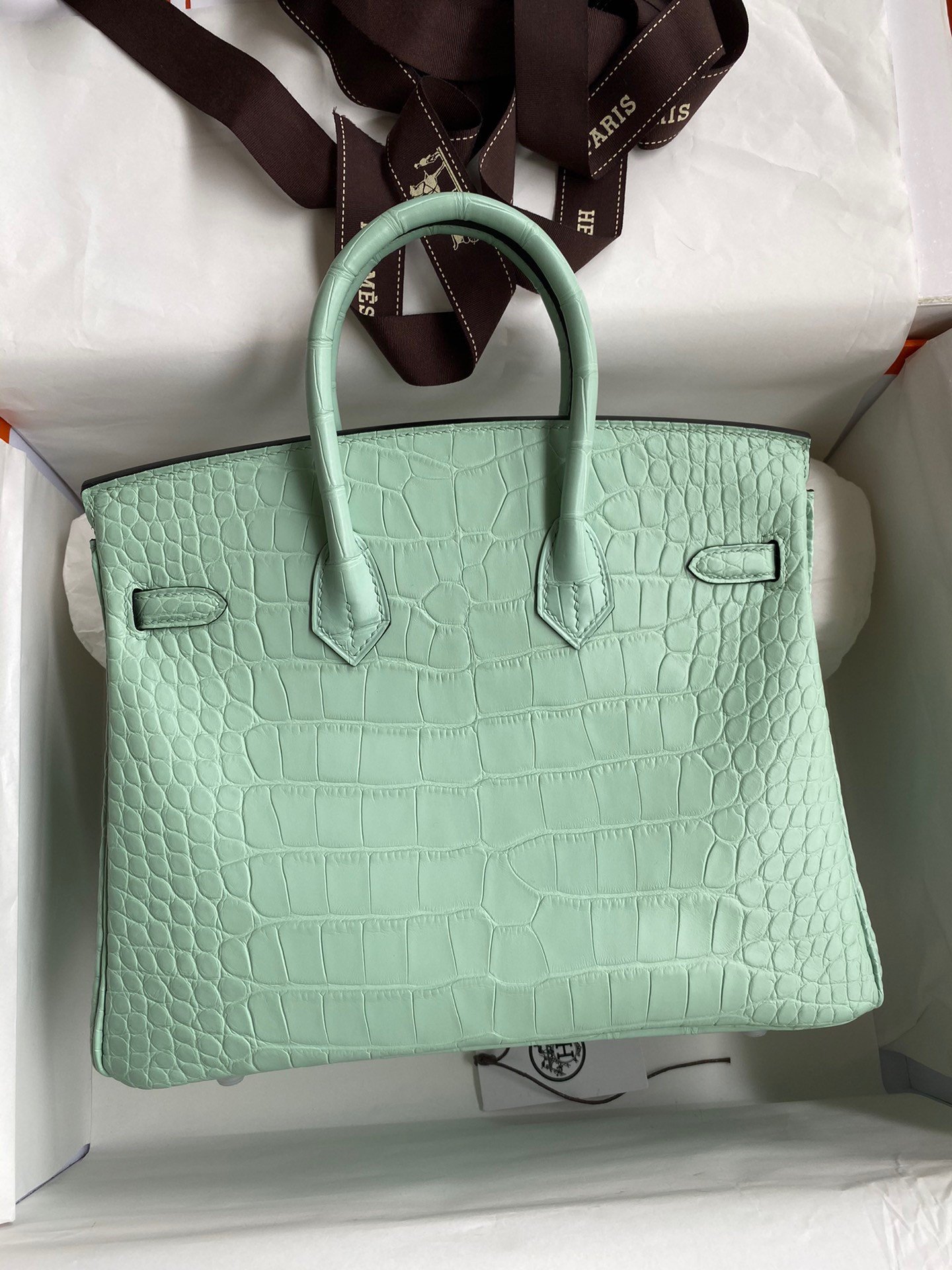 Hermes Birkin 25 Retourne Handmade Bag In Vert D'eau Matte Alligator Leather