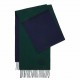 Loewe Window Scarf in Green/Blue Wool and Cashmere