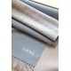 Loewe Anagram Scarf in Baby Blue Wool and Cashmere