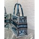 Dior Medium Book Tote Bag in Blue Butterfly Bandana Embroidery