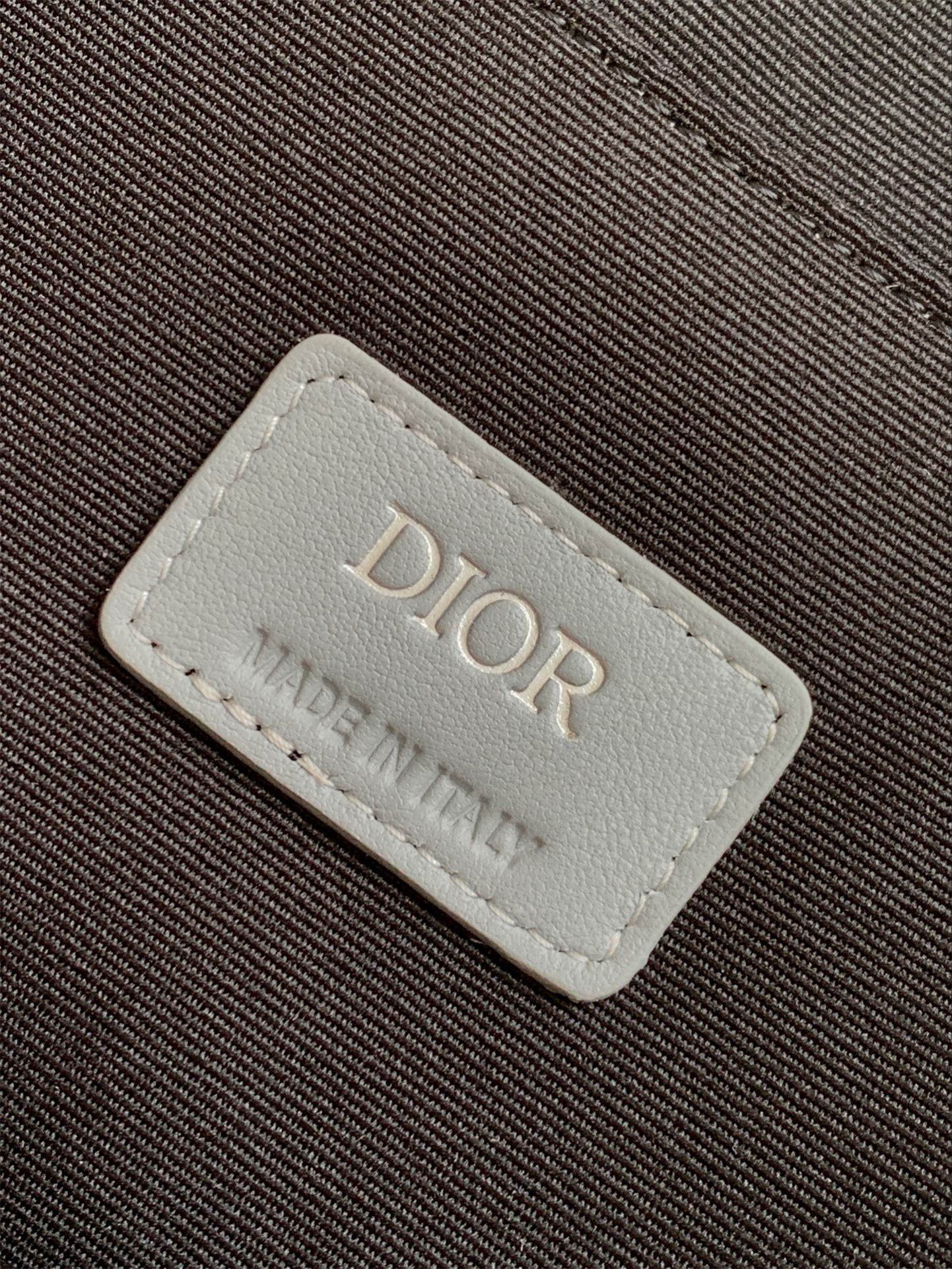 Dior Safari Tote Bag in Grey CD Diamond Canvas