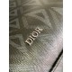 Dior Safari Tote Bag in Black CD Diamond Canvas