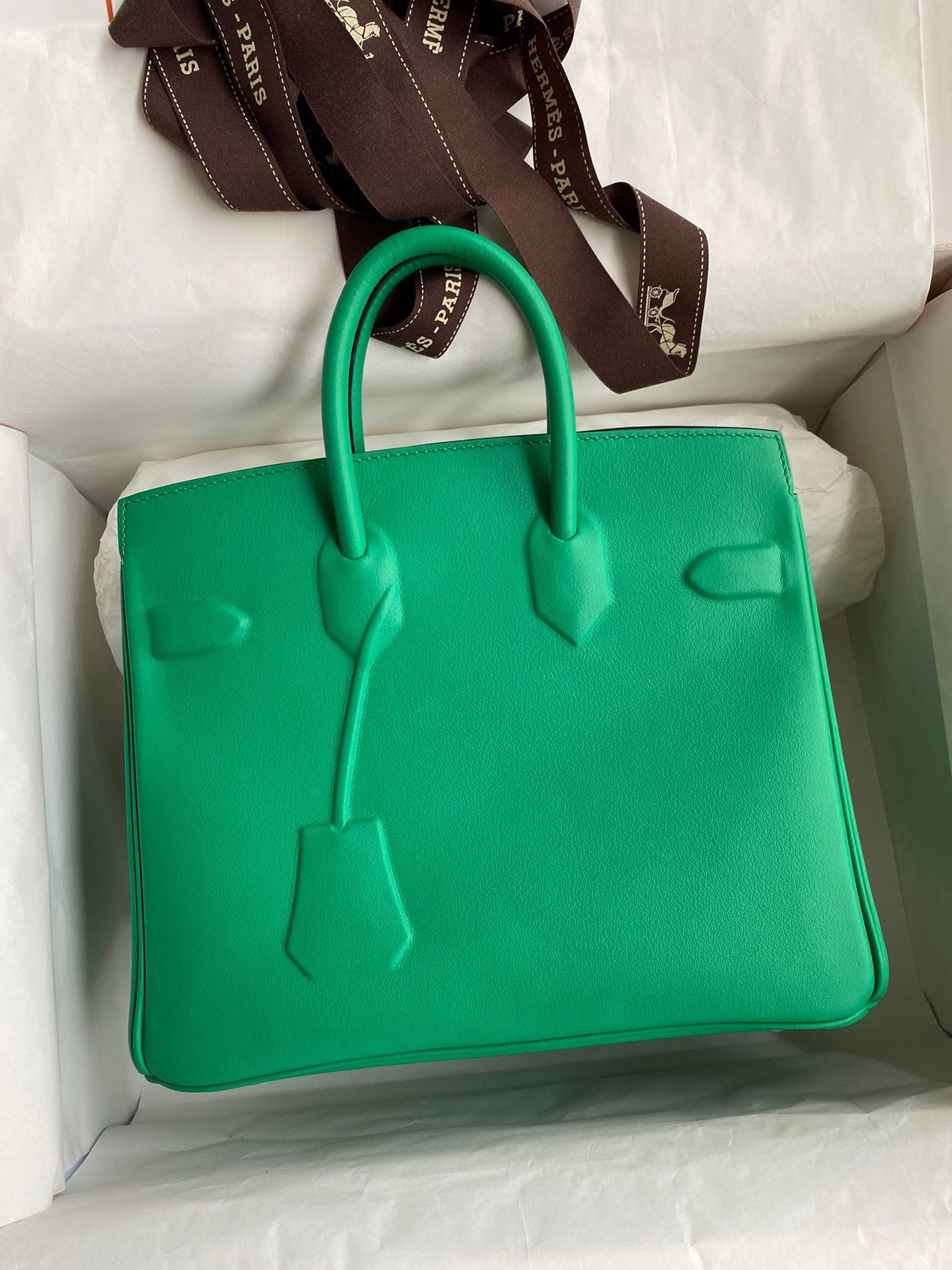 Hermes Shadow Birkin 25 Limited Edition Bag In Green Swift Calfskin