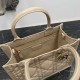 Dior Small Book Tote Bag with Strap in Beige Macrocannage Calfskin