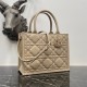 Dior Small Book Tote Bag with Strap in Beige Macrocannage Calfskin